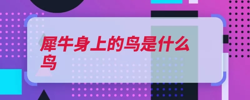 犀牛身上的鸟是什么鸟（犀牛危险皮肤就会）