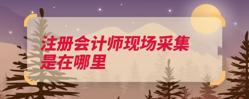 注册会计师现场采集是在哪里（报名照片首次像素）