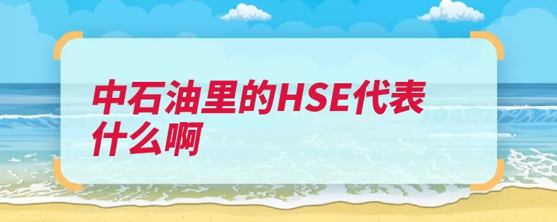 中石油里的HSE代表什么啊（石油油气中石油中）