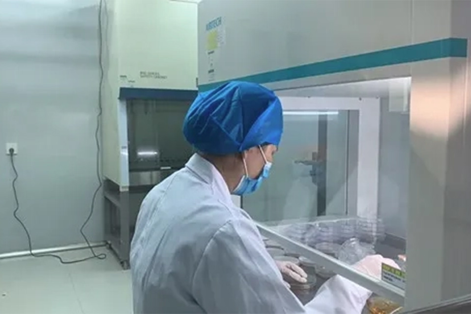 微生物检验员证怎么报考 微生物检验员证书有效期