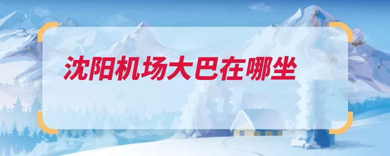 沈阳机场大巴在哪坐（机场飞机大巴风向）