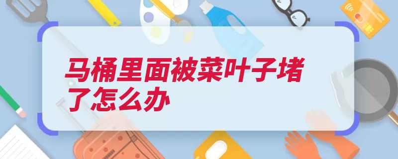 马桶里面被菜叶子堵了怎么办（马桶墩布自来水管）