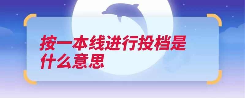 按一本线进行投档是什么意思（投档一本院校招生）