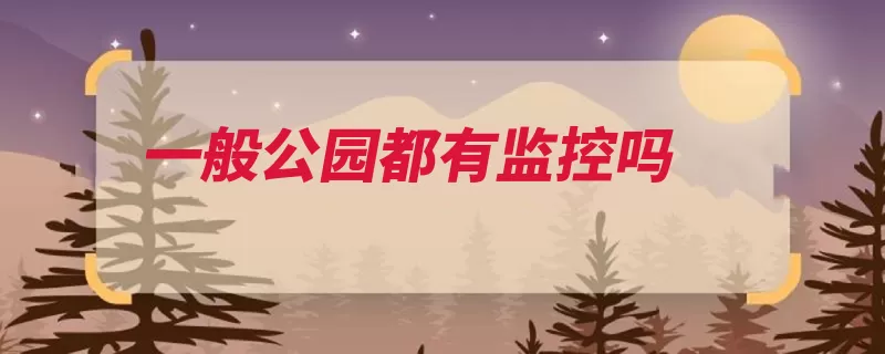 一般公园都有监控吗（天网是有监控监控）