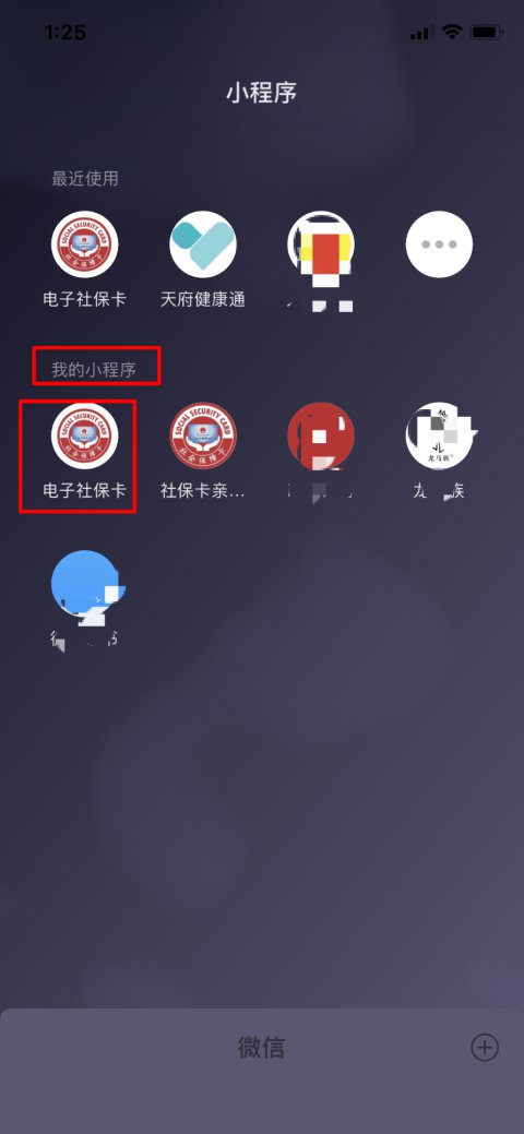 成都电子社保卡苹果手机如何添加小程序（不支持添加到桌面）