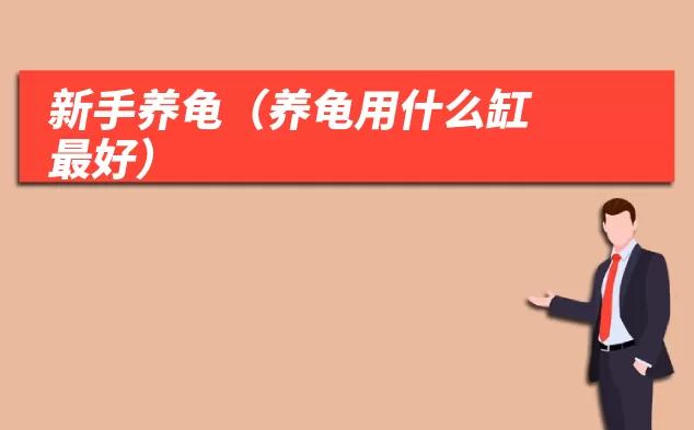 新手养龟(养龟用什么缸最好)