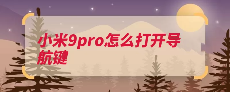 小米9pro怎么打开导航键（小米选项打开导航）