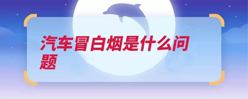 汽车冒白烟是什么问题（密封垫片内径破损）