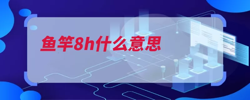 鱼竿8h什么意思（鱼竿硬度把手鱼唇）