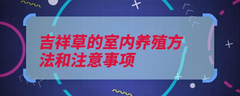 吉祥草的室内养殖方法和注意事项（植株浇水壤土土壤）