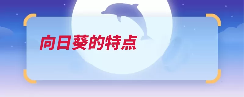 向日葵的特点（生长花儿比较喜欢）