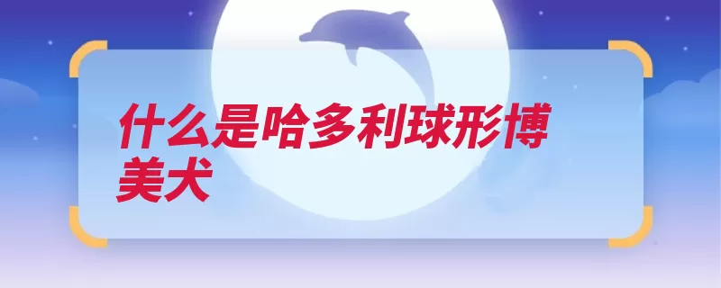 什么是哈多利球形博美犬（球体博美犬多利饲）