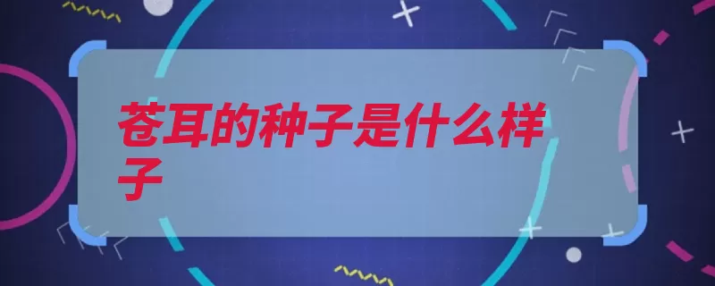 苍耳的种子是什么样子（苍耳种子动物长出）