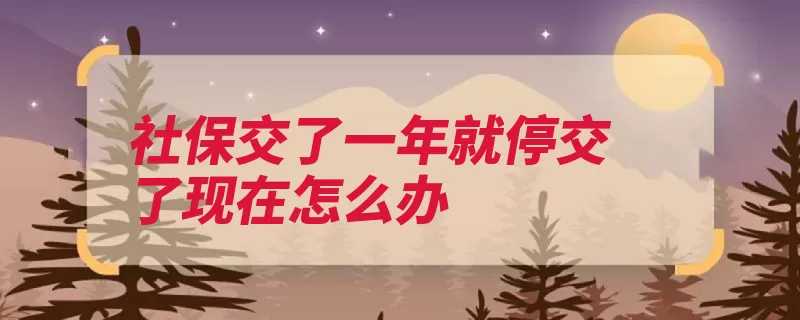 社保交了一年就停交了现在怎么办（补缴社保交了单位）