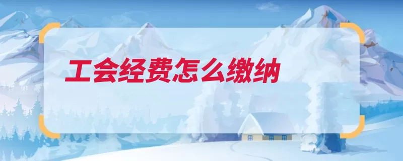 工会经费怎么缴纳（工资会费会员职务）