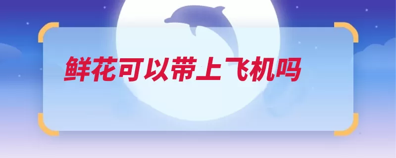 鲜花可以带上飞机吗（物品携带随身携带）