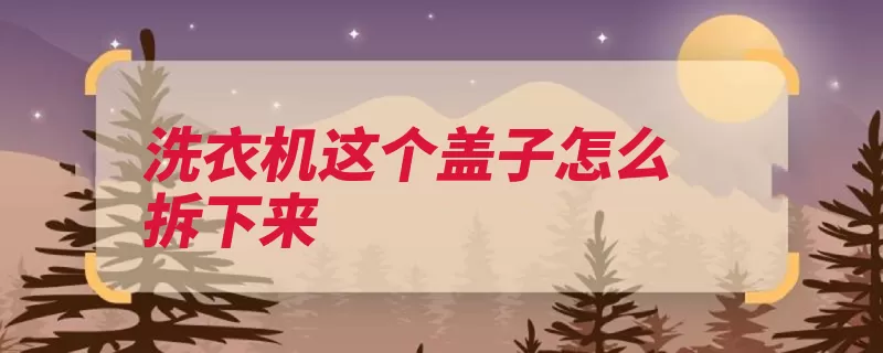 洗衣机这个盖子怎么拆下来（螺丝取下洗衣机螺）