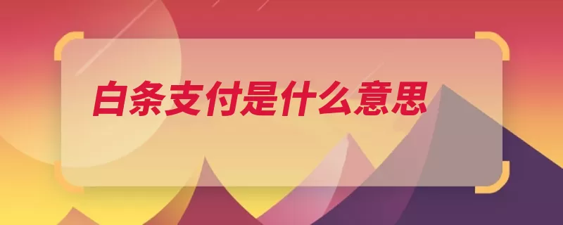 白条支付是什么意思（白条京东还款支付）