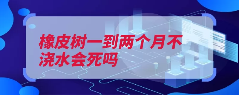 橡皮树一到两个月不浇水会死吗（橡皮树植株叶片美）