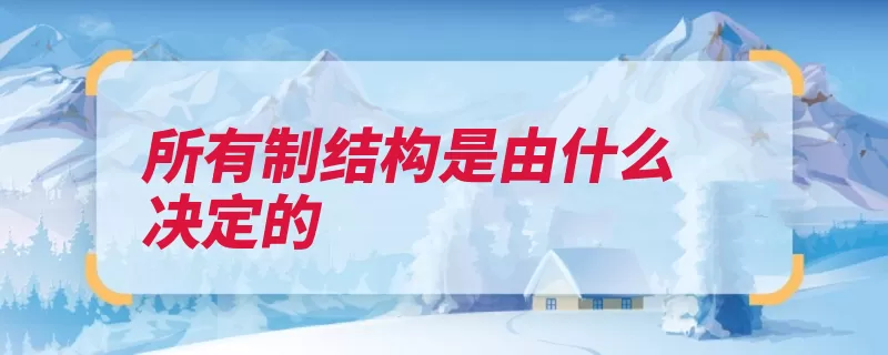 所有制结构是由什么决定的（所有制生产关系结）