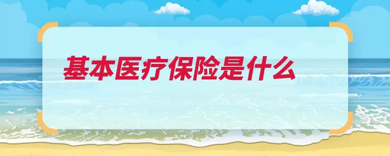 基本医疗保险是什么（医疗西欧医疗保险）