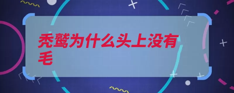 秃鹫为什么头上没有毛（尸体羽毛动物秃鹫）