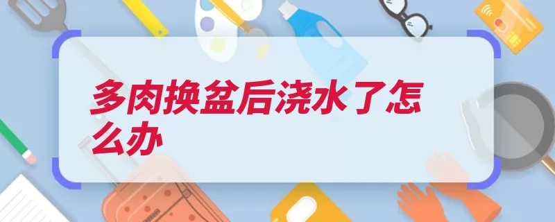 多肉换盆后浇水了怎么办（植物水分肉质浇水）