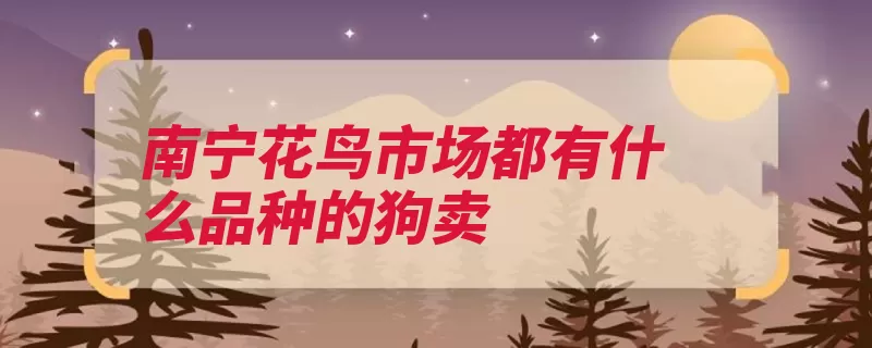 南宁花鸟市场都有什么品种的狗卖（是一种南宁藏獒博）