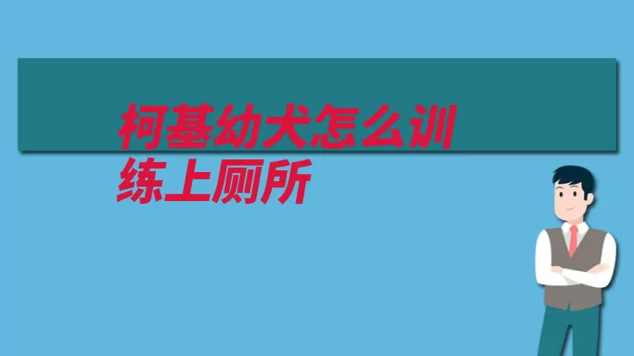 柯基幼犬怎么训练上厕所（尿尿厕所指定就会）