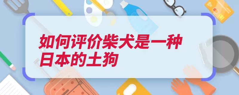 如何评价柴犬是一种日本的土狗（柴犬土狗日本中华）