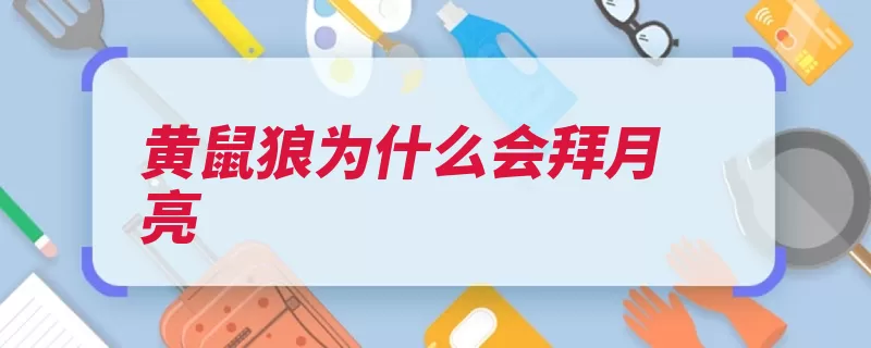 黄鼠狼为什么会拜月亮（月圆黄鼠狼拜月表）