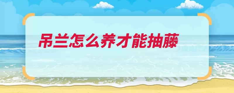 吊兰怎么养才能抽藤（浇水吊兰施肥氮肥）