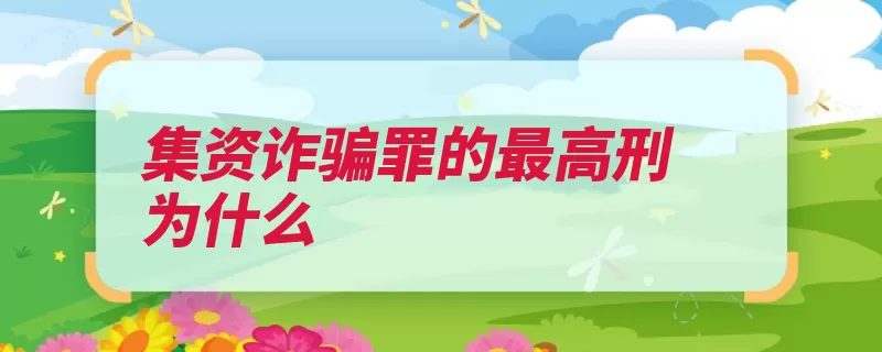 集资诈骗罪的最高刑为什么（罚金并处有期徒刑）