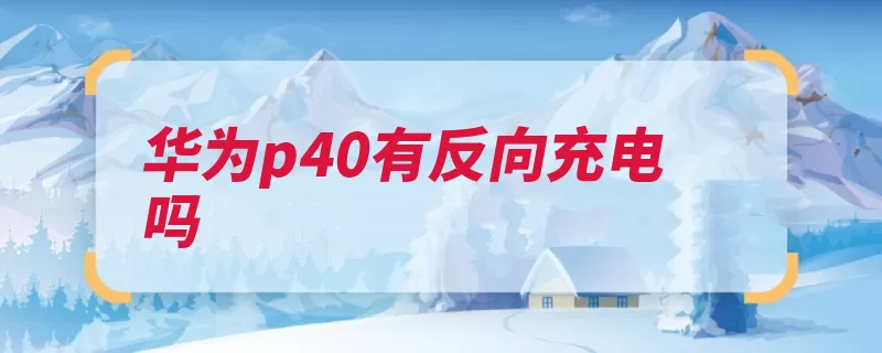 华为p40有反向充电吗（华为支持充电对角）