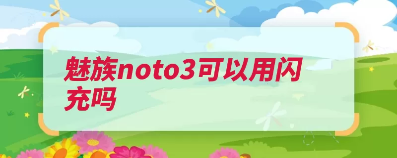 魅族noto3可以用闪充吗（充电充电器技术快）