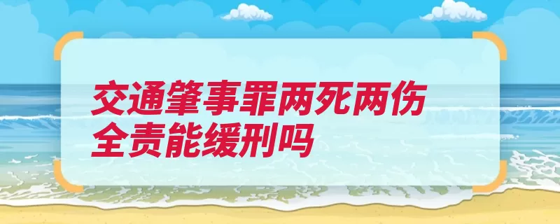 交通肇事罪两死两伤全责能缓刑吗（缓刑有期徒刑的人）