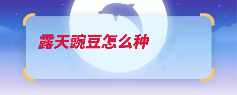 露天豌豆怎么种（浇水种子豌豆湿润）