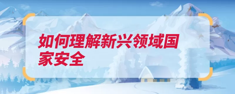 如何理解新兴领域国家安全（基础设施关键国家）