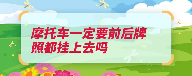 摩托车一定要前后牌照都挂上去吗（号牌牌照机动车挂）
