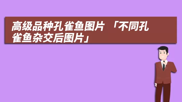 高级品种孔雀鱼图片 「不同孔雀鱼杂交后图片」