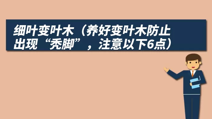 细叶变叶木（养好变叶木防止出现“秃脚”，注意以下6点）