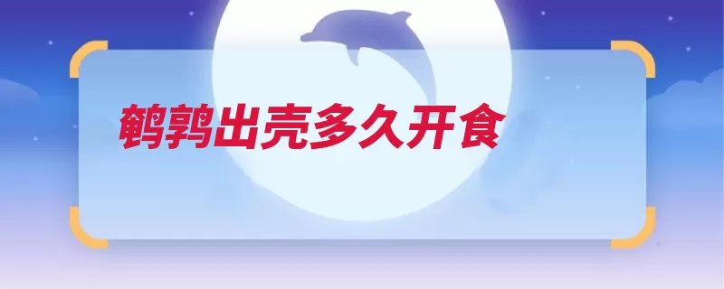 鹌鹑出壳多久开食（幼雏蛋黄饲喂饲料）