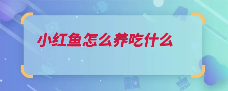 小红鱼怎么养吃什么（换水水温沙虫红鱼）