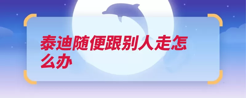 泰迪随便跟别人走怎么办（时间食物对其刚开）