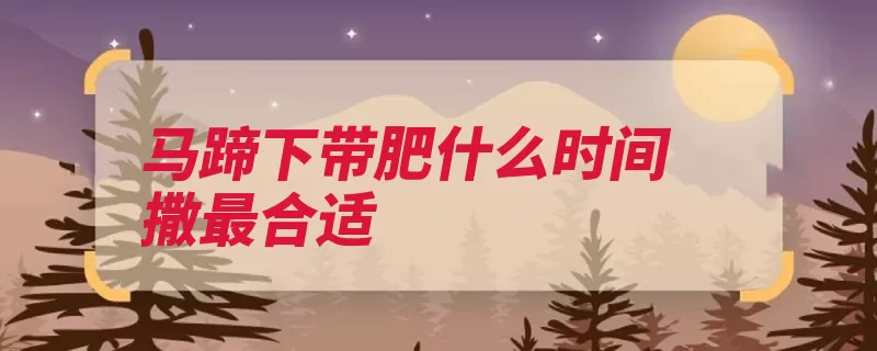 马蹄下带肥什么时间撒最合适（时间马蹄播种秧龄）