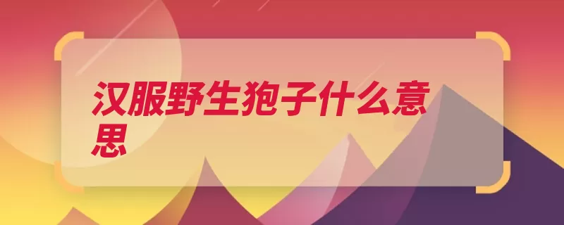 汉服野生狍子什么意思（汉服汉族中国汉民）
