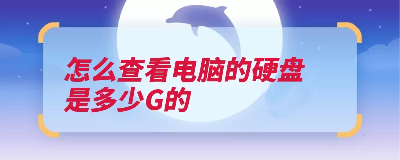 怎么查看电脑的硬盘是多少G的（硬盘查看电脑磁盘）