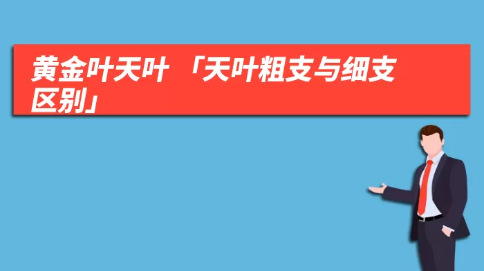 黄金叶天叶 「天叶粗支与细支区别」