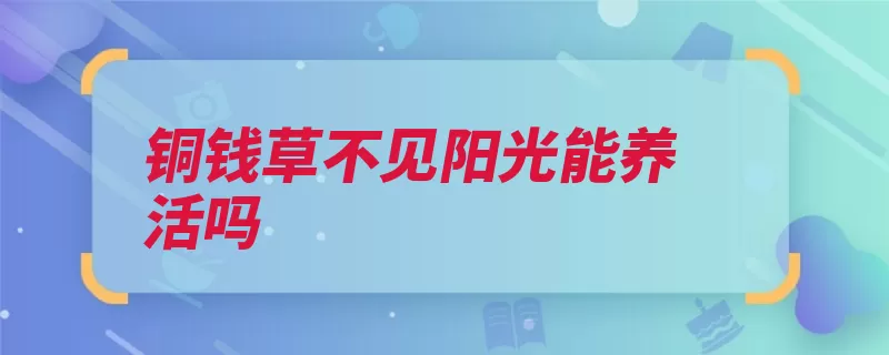 铜钱草不见阳光能养活吗（铜钱栽培阳光养活）