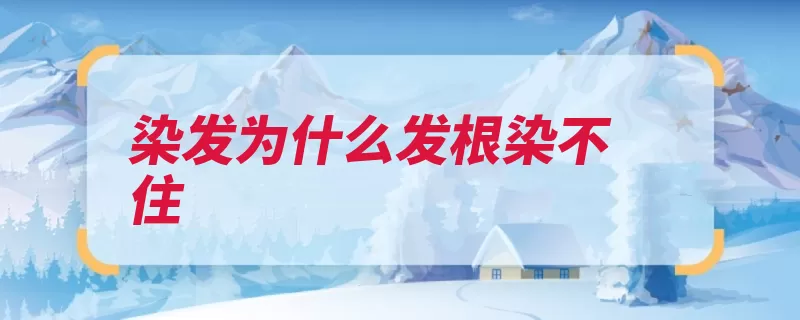 染发为什么发根染不住（上色染发自己的发）